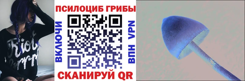 kraken ONION  Рубцовск  площадка состав  Галлюциногенные грибы Magic Shrooms 